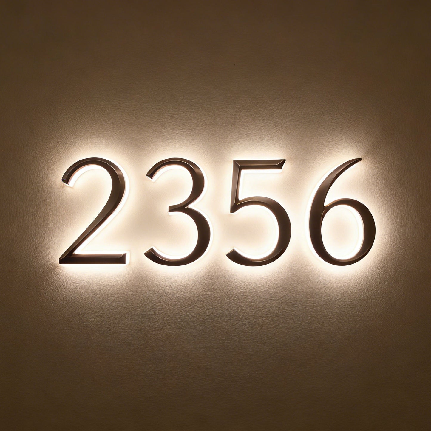 Designer Pick up 3D Relief Sculpture Illuminated House Numbers