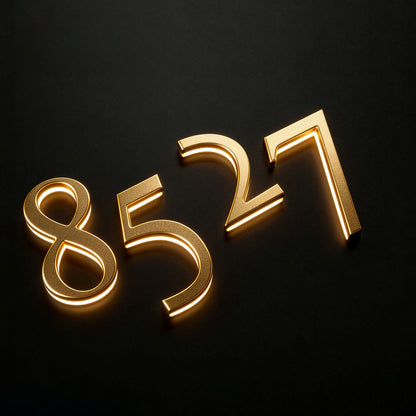 Designer Pick up 3D Relief Sculpture Illuminated House Numbers